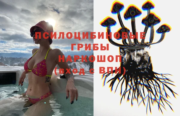 МДПВ Бугульма