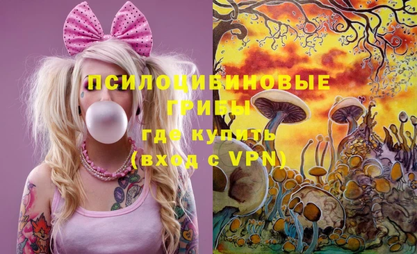 молекула духа Бронницы