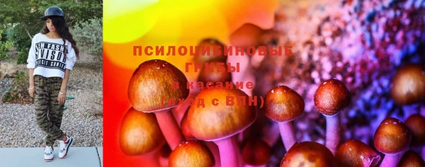 а пвп мука Верея