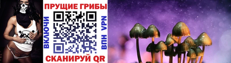 Галлюциногенные грибы Psilocybine cubensis Волжск